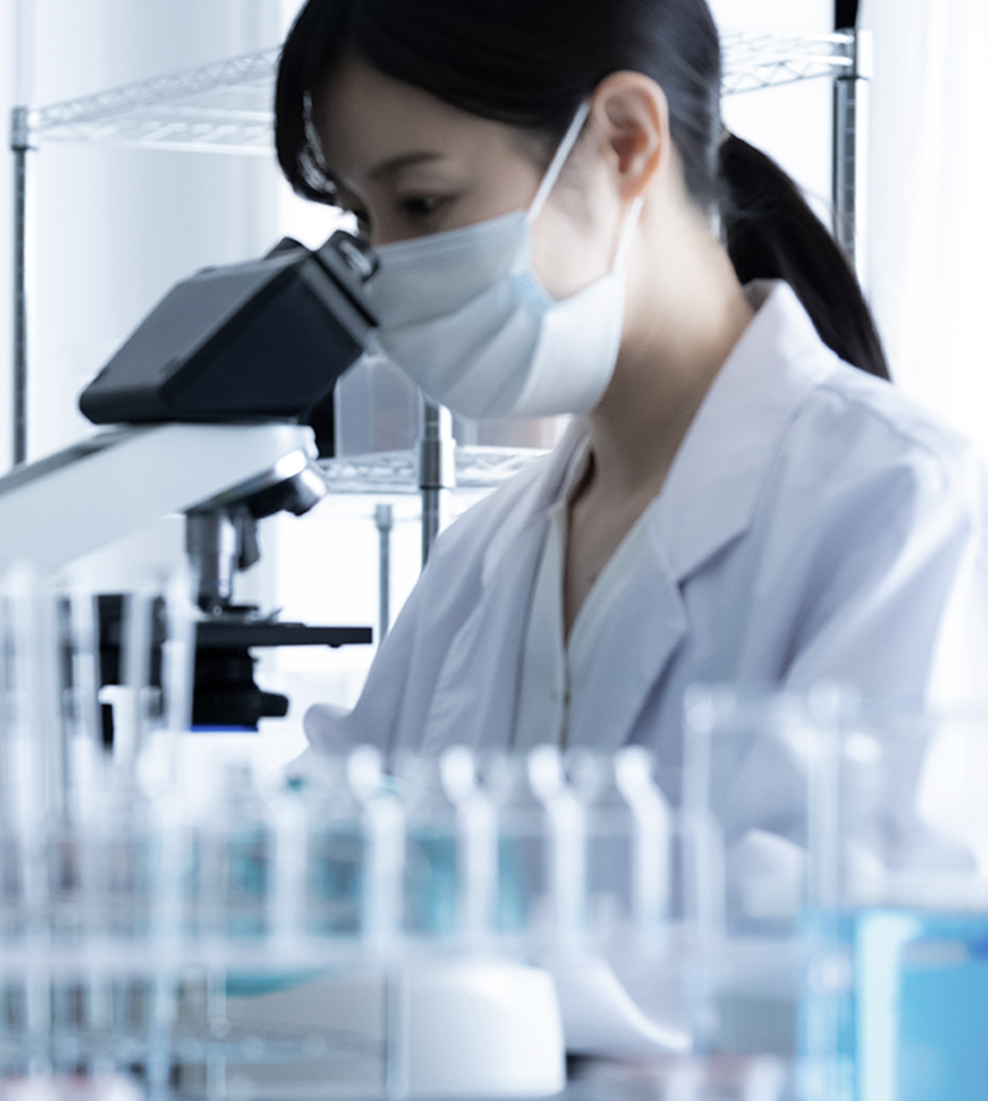 血液の浄化で免疫力を高める血液クレンジング