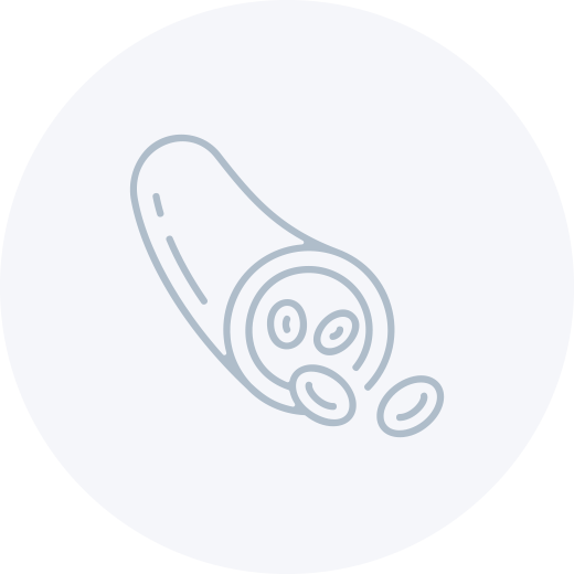 血管再生・新生作用